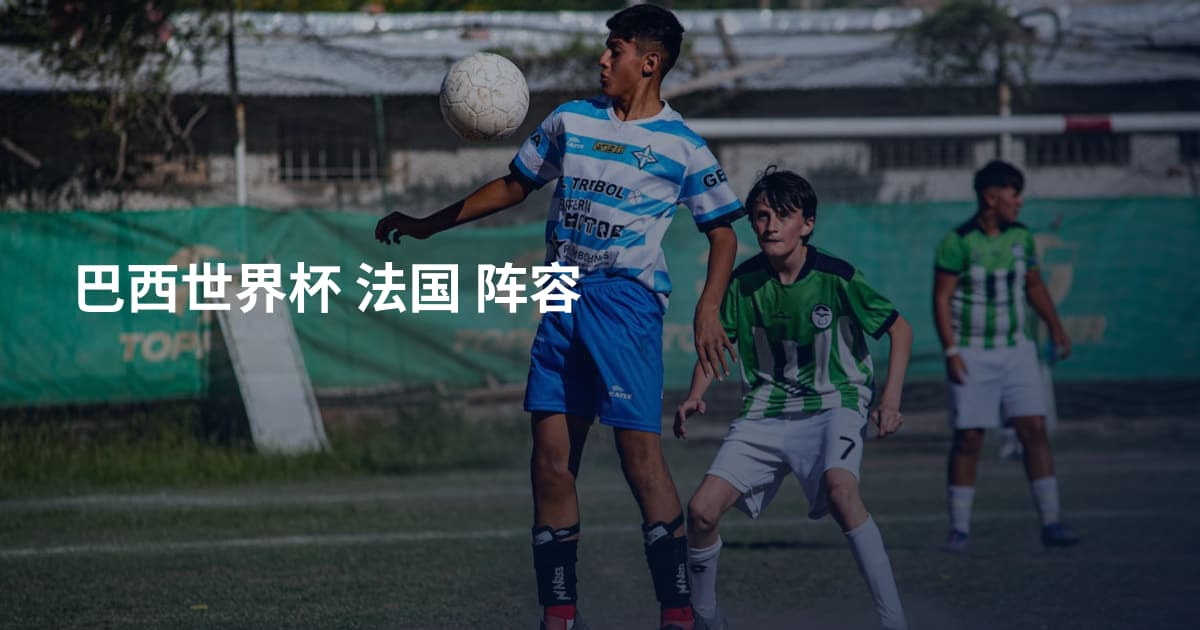 巴西世界杯 法国 阵容