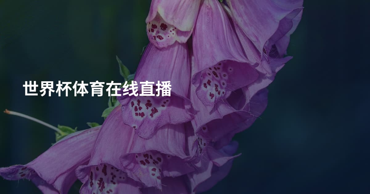 世界杯体育在线直播