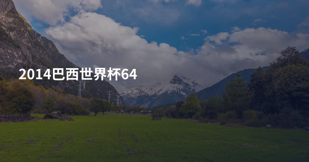 2014巴西世界杯64