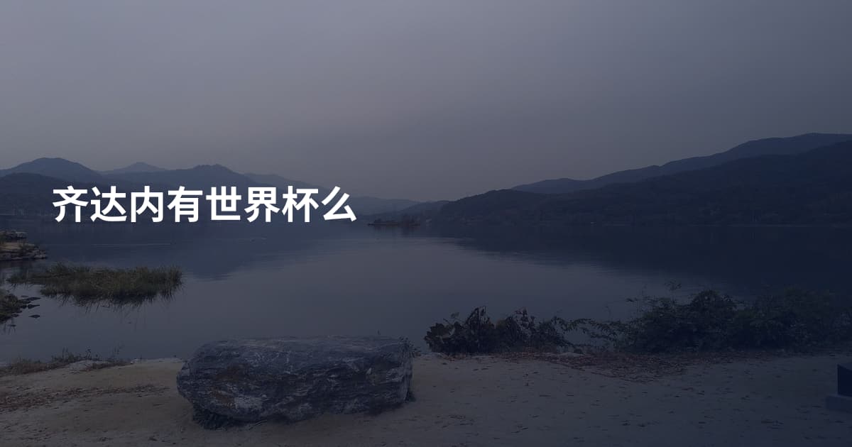 齐达内有世界杯么