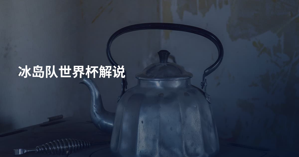冰岛队世界杯解说