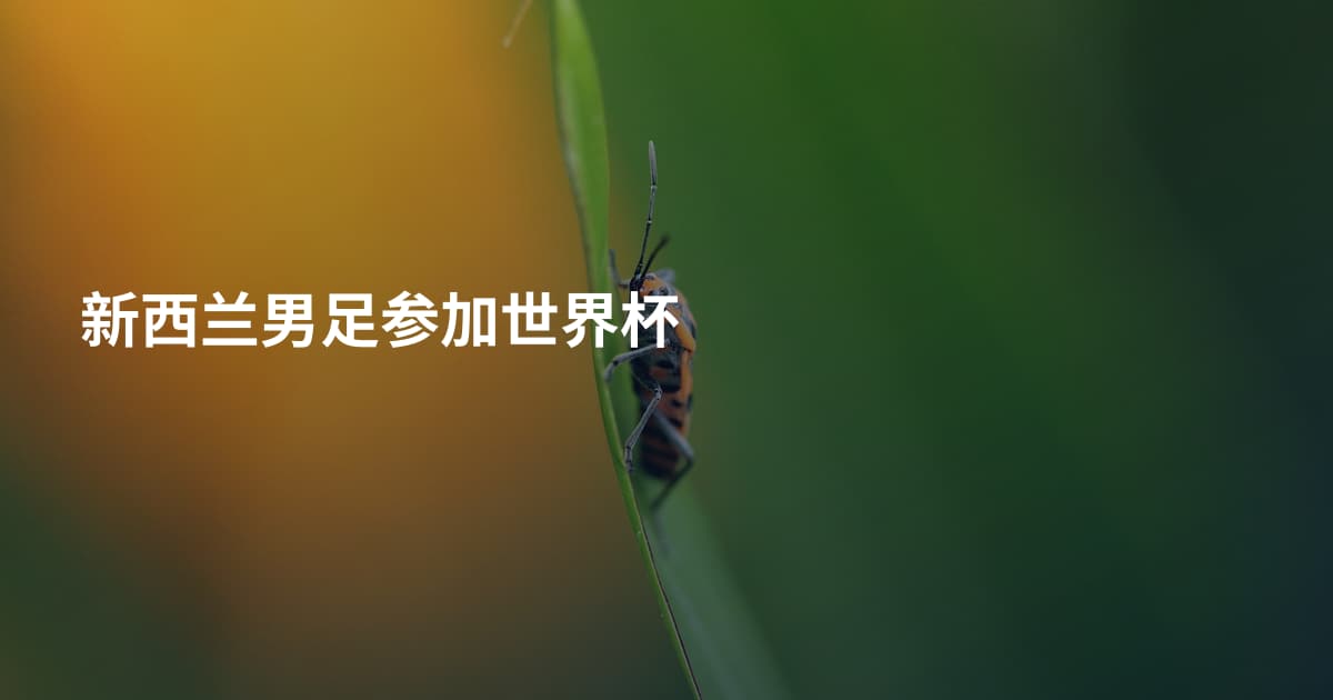 新西兰男足参加世界杯