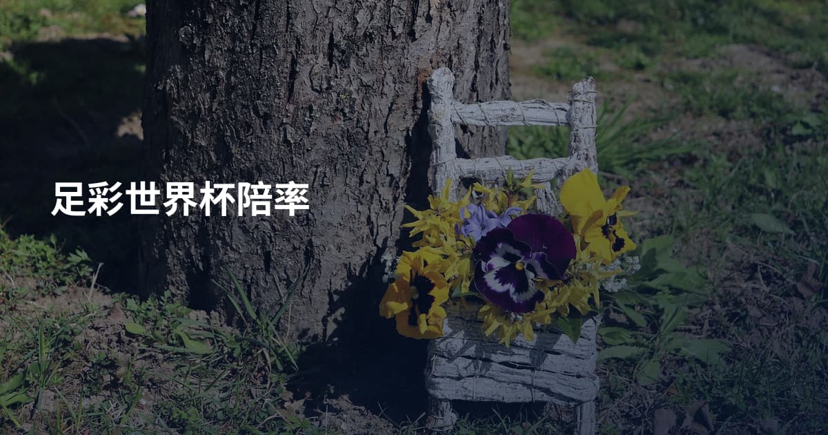 足彩世界杯陪率