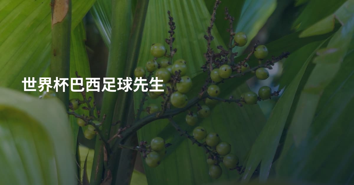 世界杯巴西足球先生