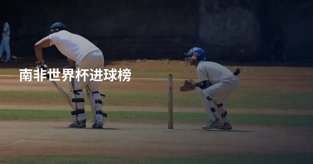南非世界杯进球榜