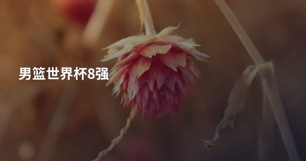 男篮世界杯8强