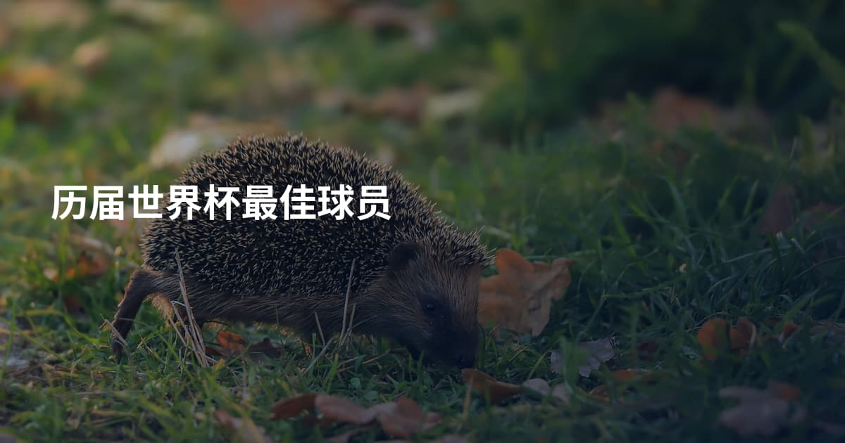 历届世界杯最佳球员