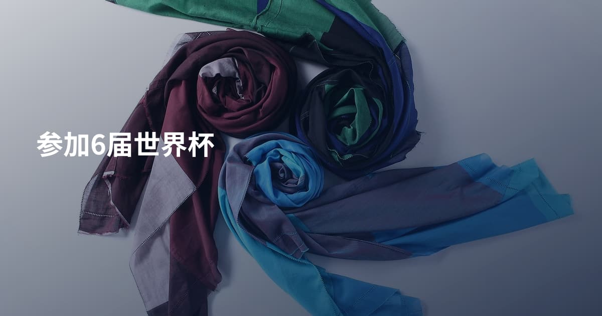 参加6届世界杯