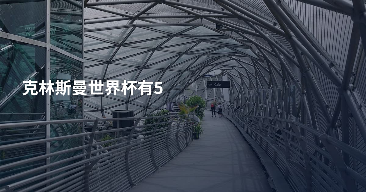 克林斯曼世界杯有5