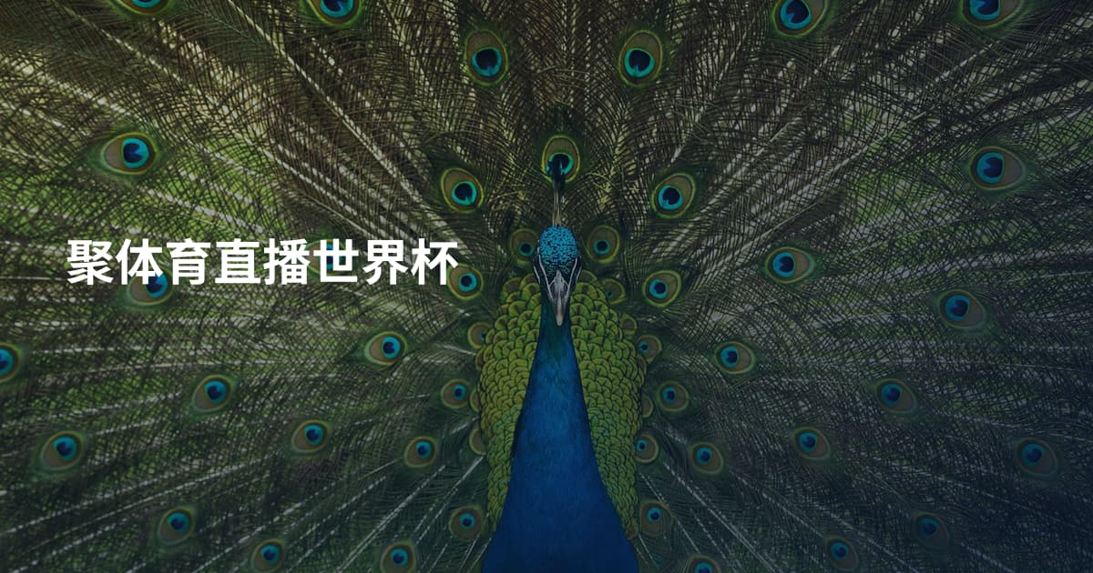 聚体育直播世界杯