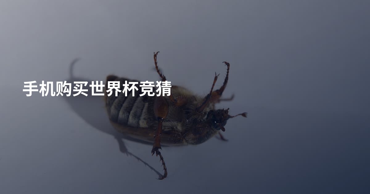 手机购买世界杯竞猜