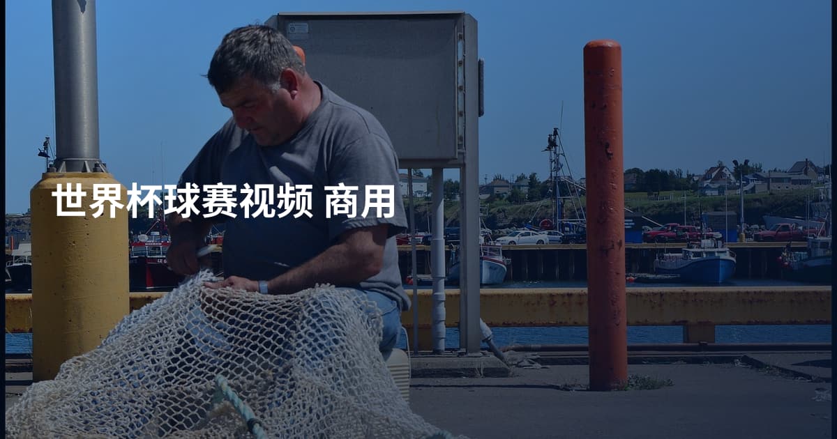世界杯球赛视频 商用
