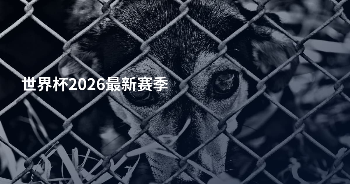 世界杯2026最新赛季