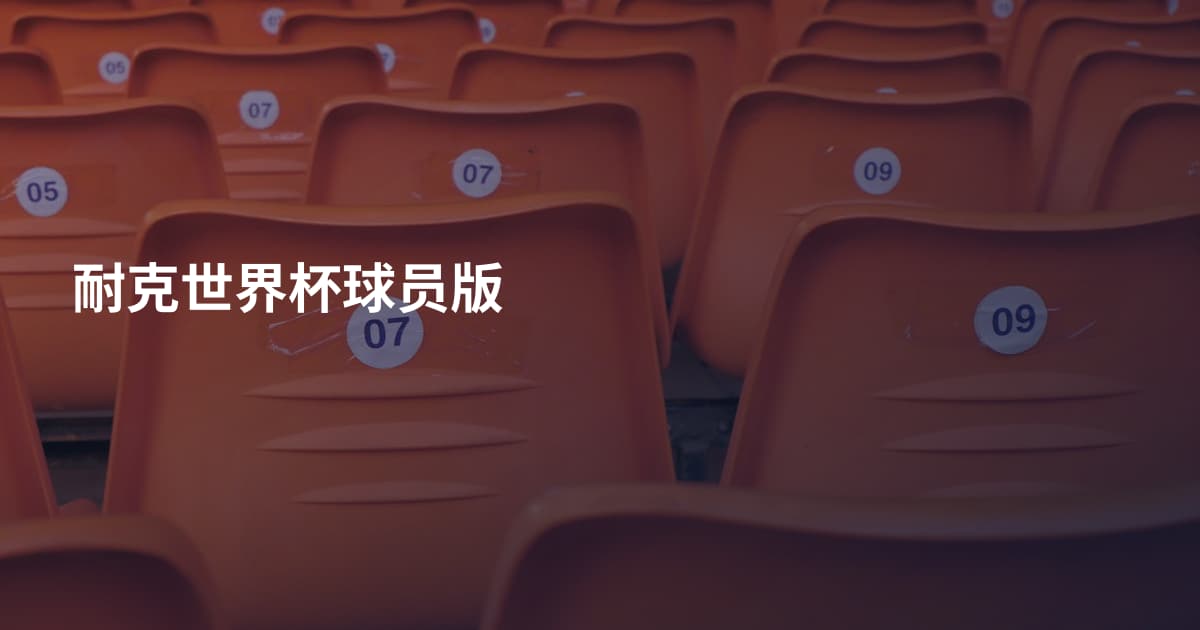 耐克世界杯球员版