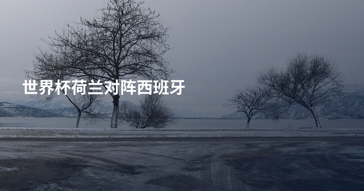 世界杯荷兰对阵西班牙