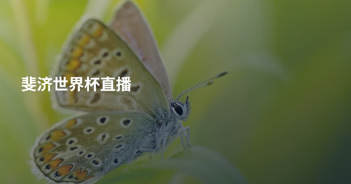 斐济世界杯直播