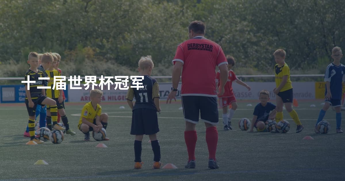 十二届世界杯冠军
