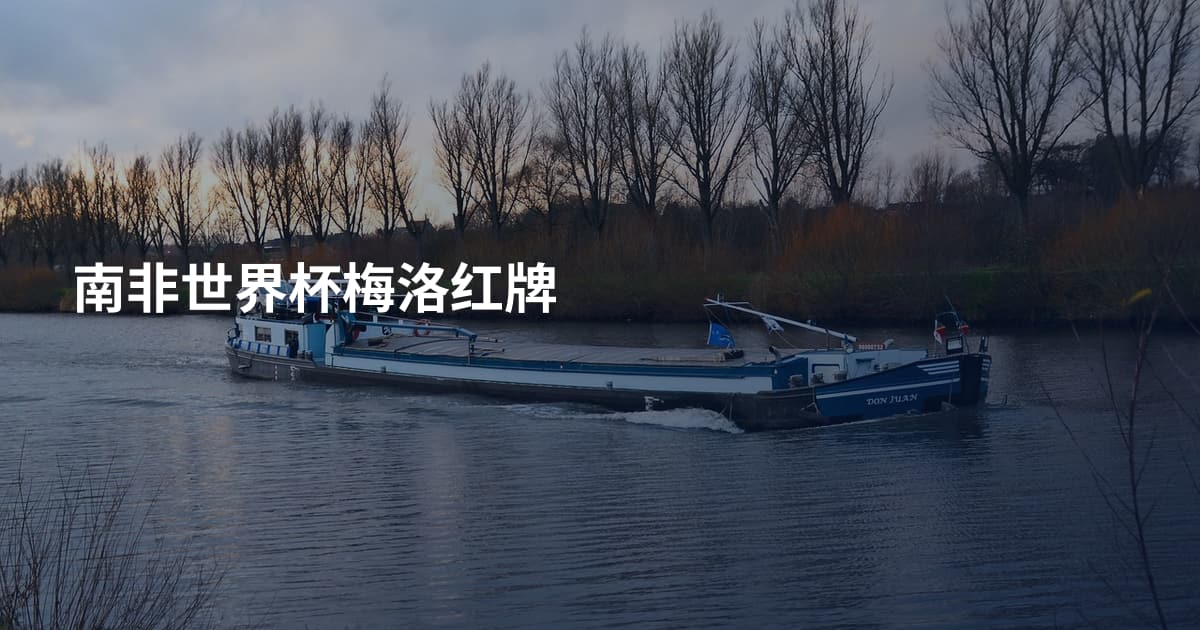 南非世界杯梅洛红牌