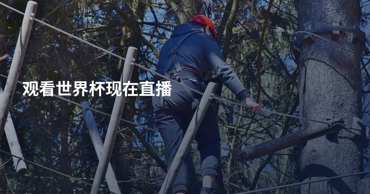 观看世界杯现在直播