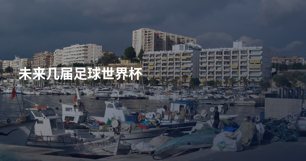 未来几届足球世界杯