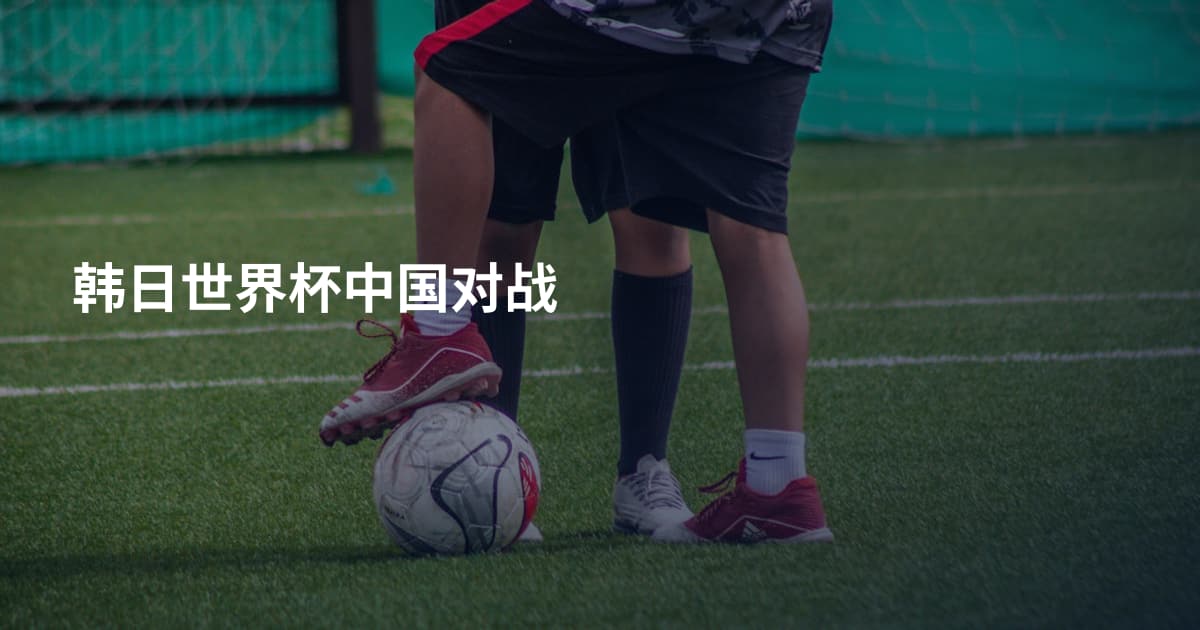 韩日世界杯中国对战