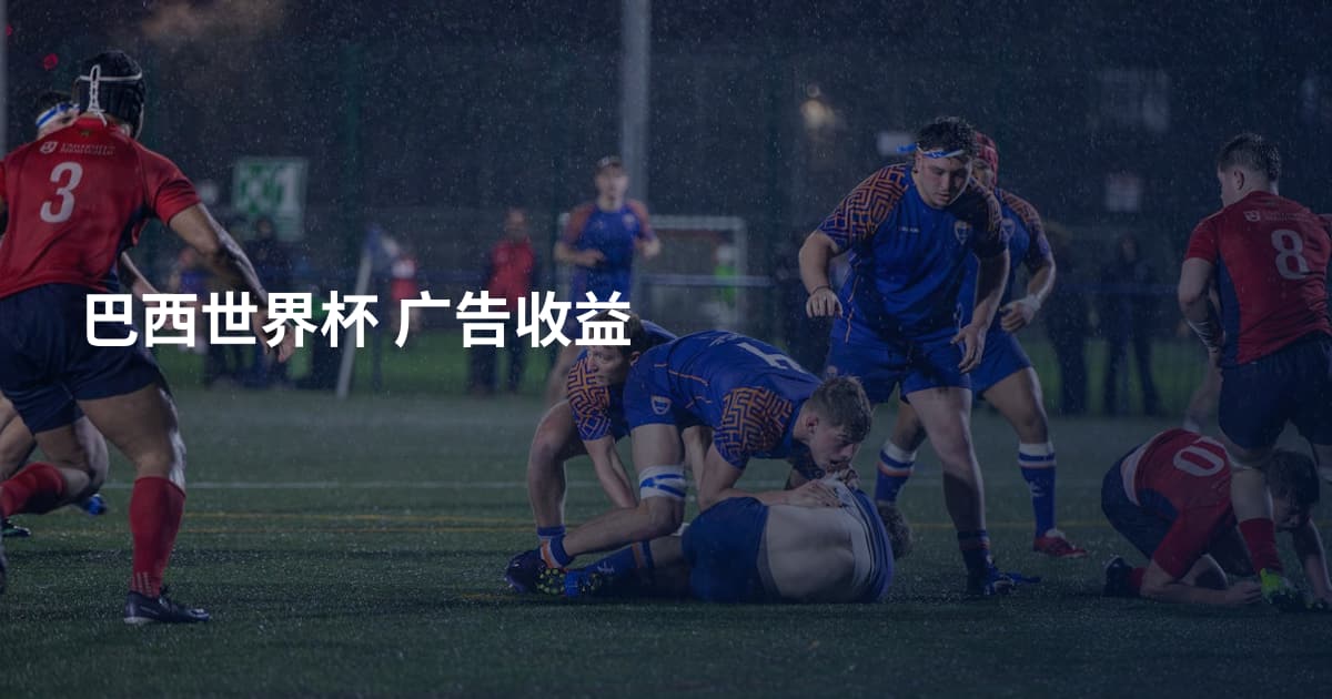 巴西世界杯 广告收益