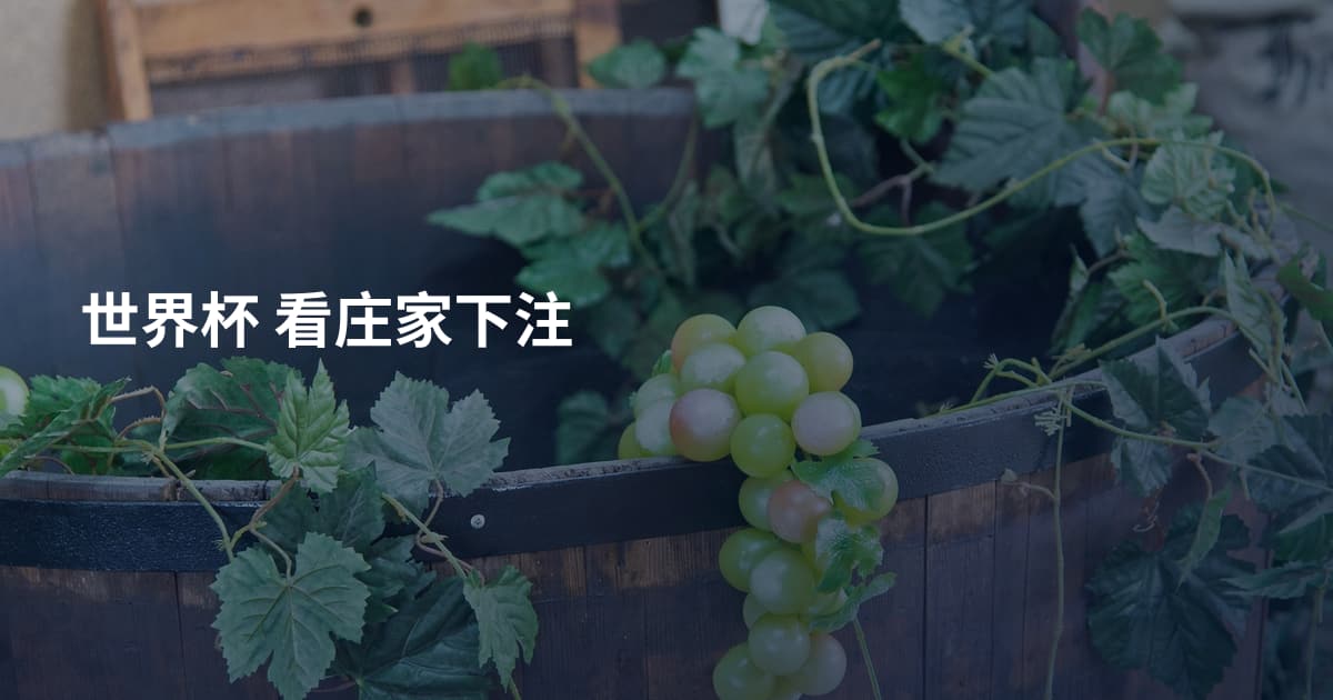 世界杯 看庄家下注