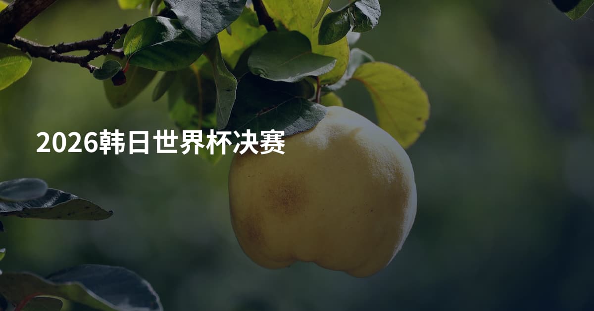 2026韩日世界杯决赛