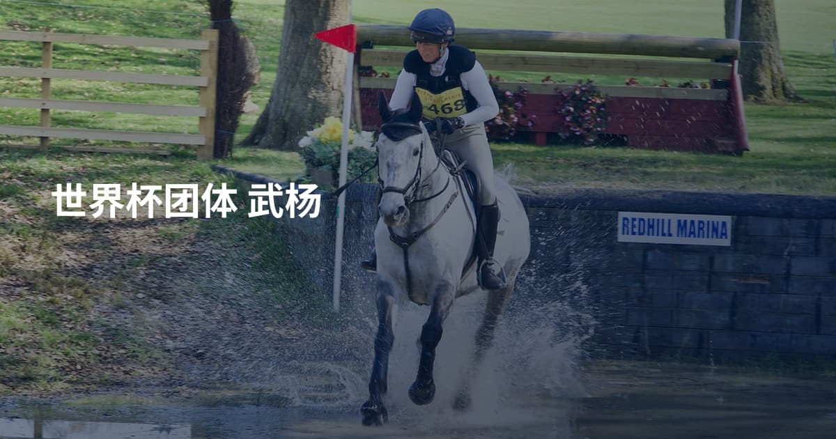 世界杯团体 武杨