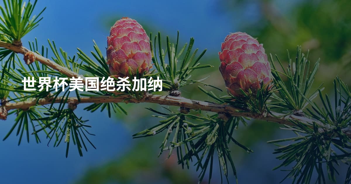 世界杯美国绝杀加纳