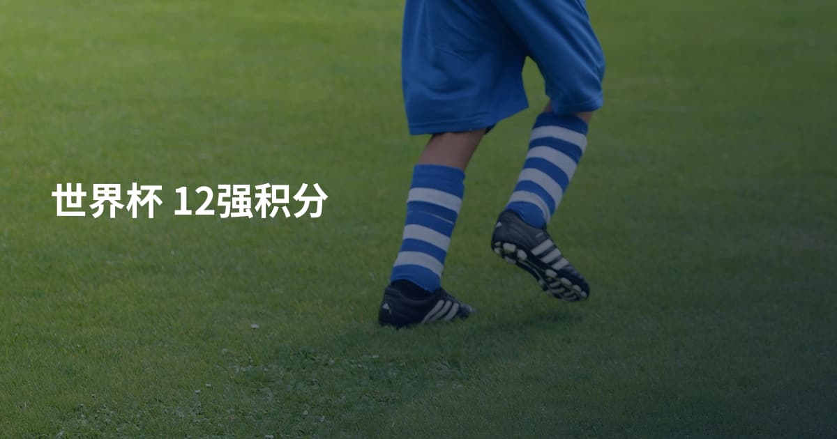 世界杯 12强积分