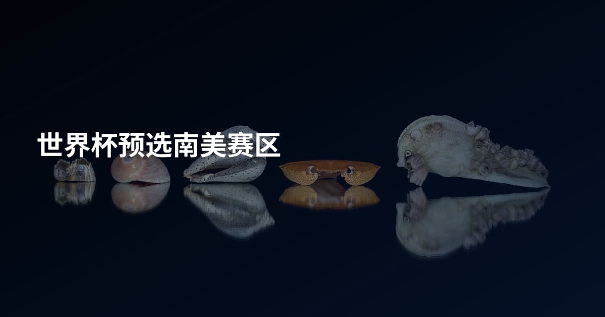 世界杯预选南美赛区