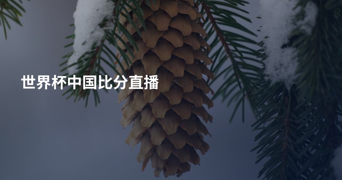 世界杯中国比分直播