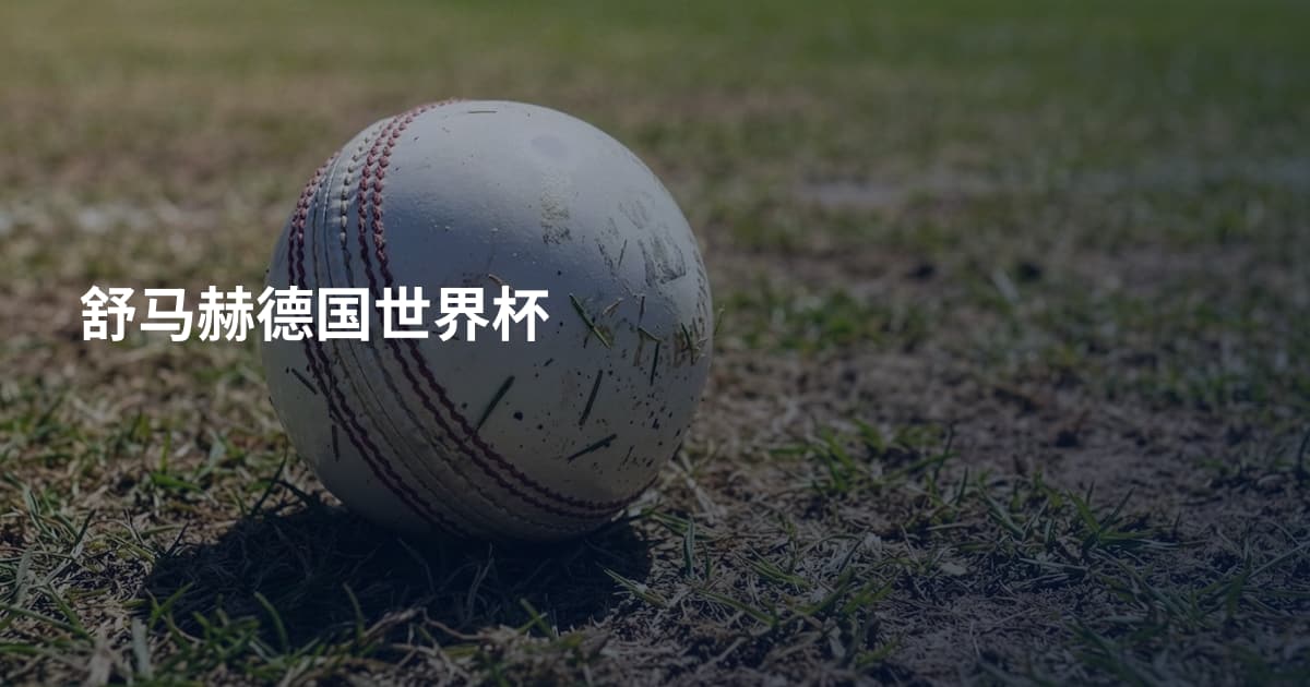 舒马赫德国世界杯