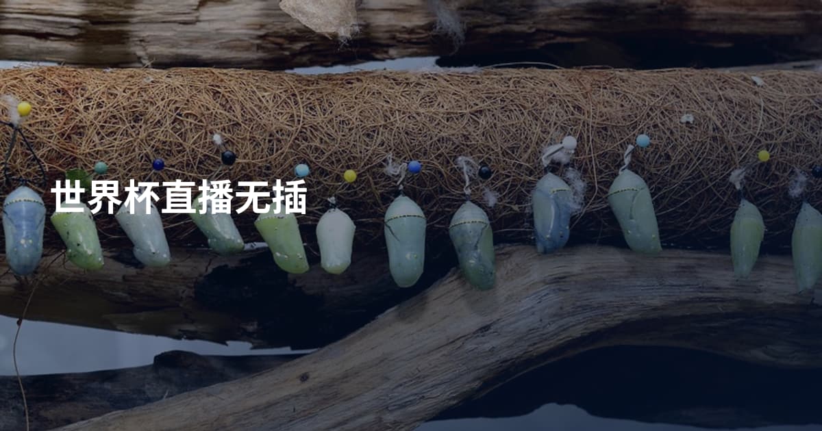 世界杯直播无插