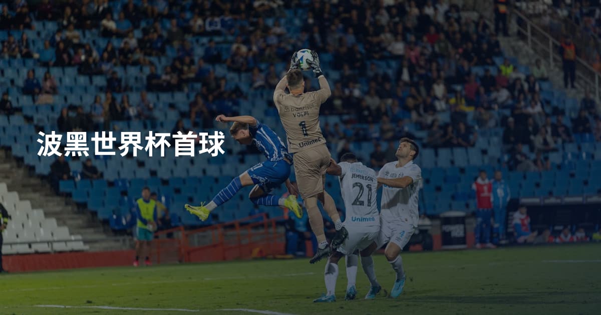 波黑世界杯首球