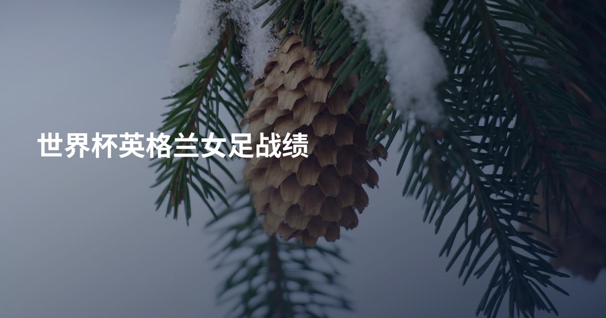 世界杯英格兰女足战绩