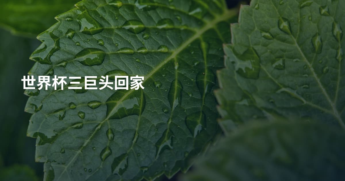世界杯三巨头回家