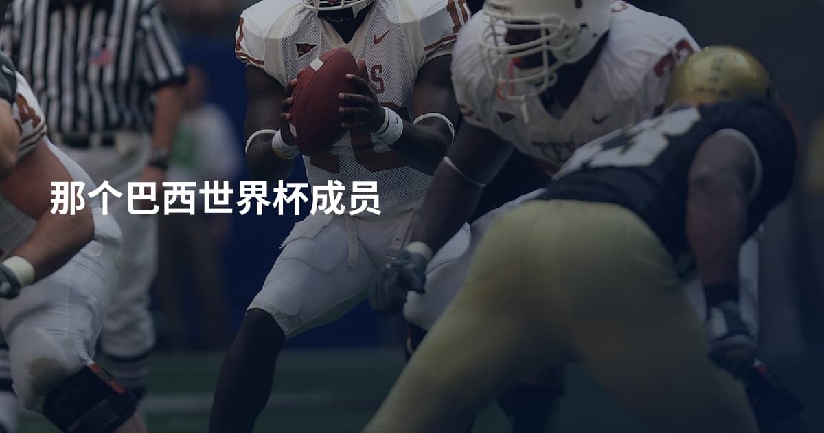 那个巴西世界杯成员