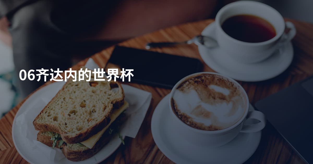 06齐达内的世界杯