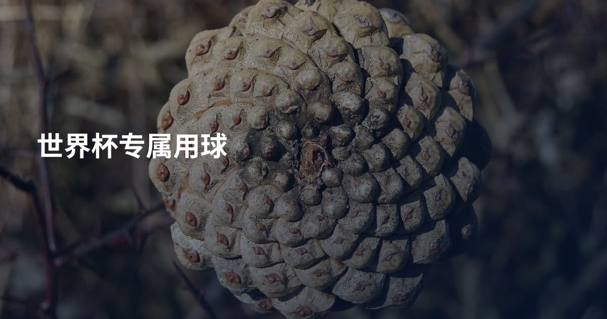 世界杯专属用球