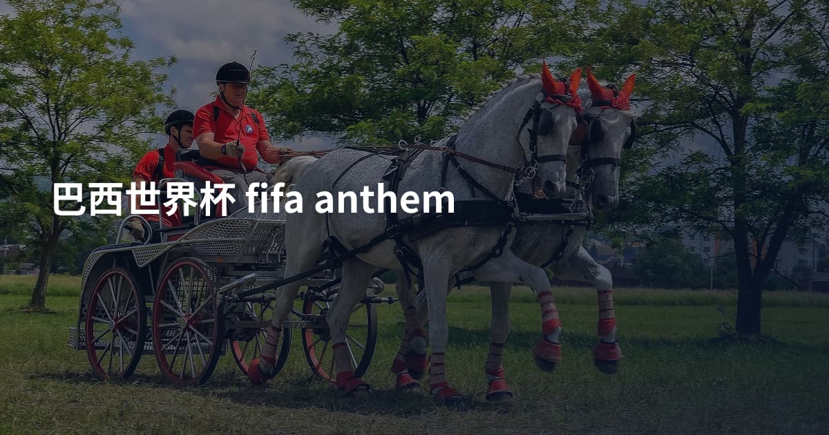 巴西世界杯 fifa anthem