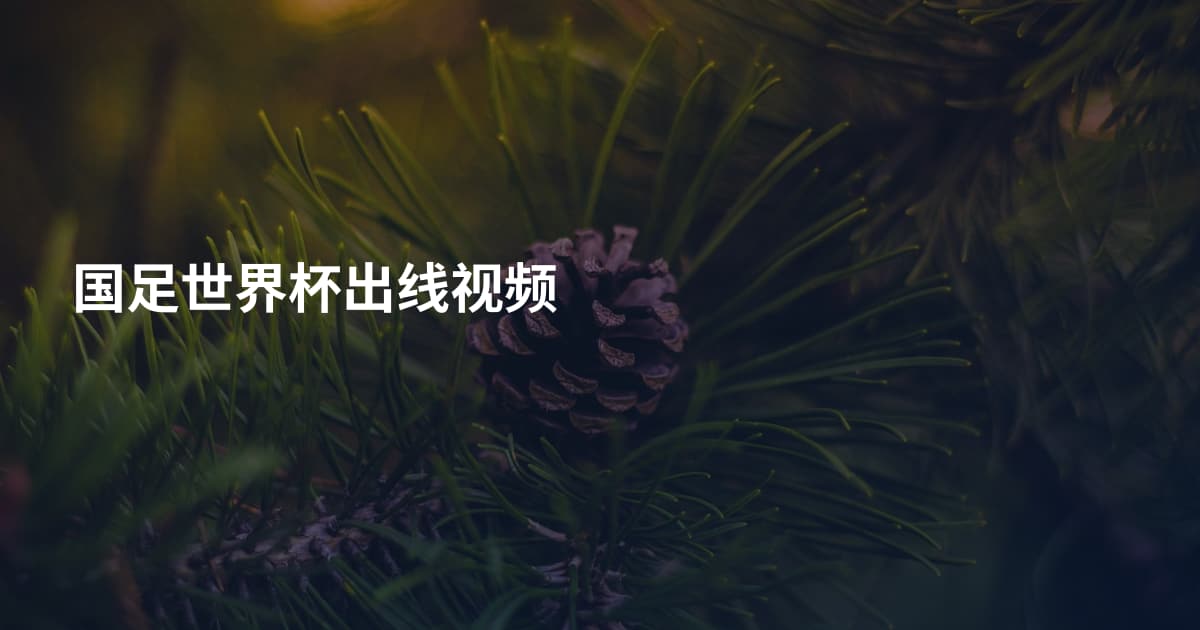 国足世界杯出线视频