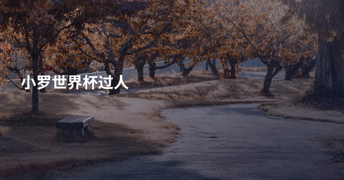 小罗世界杯过人