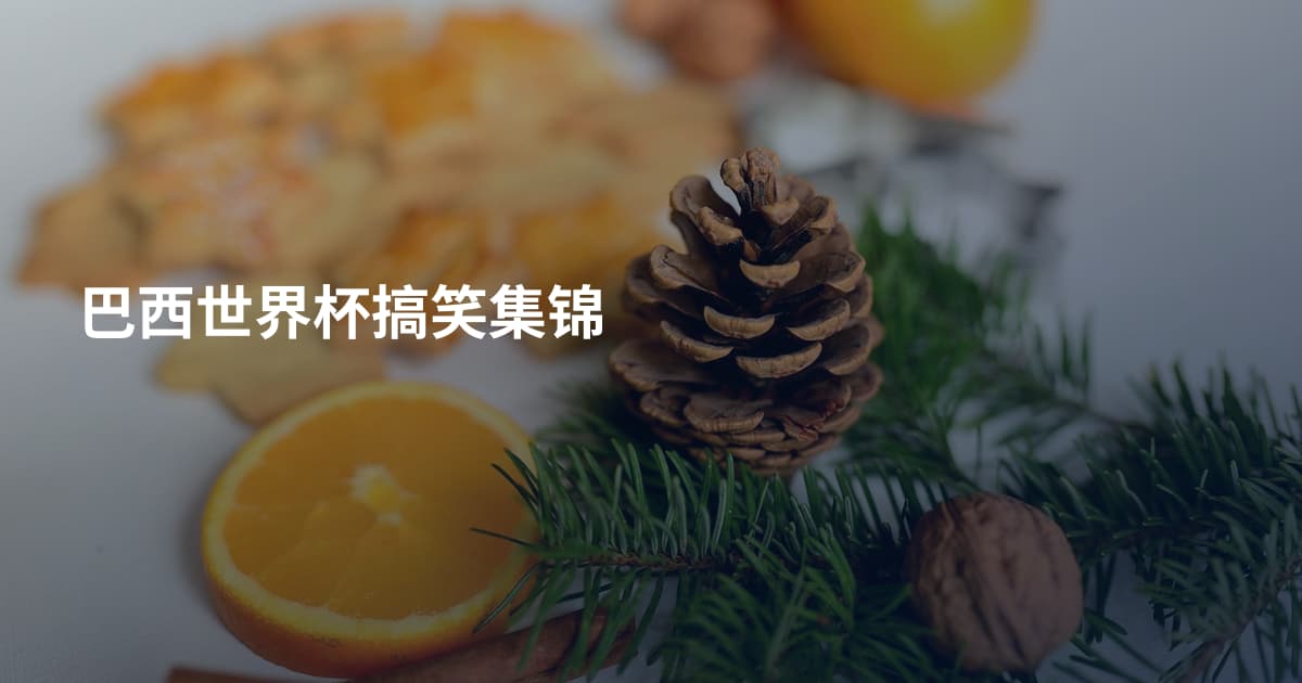 巴西世界杯搞笑集锦