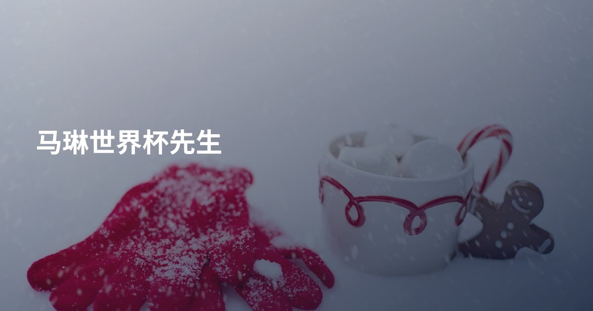 马琳世界杯先生