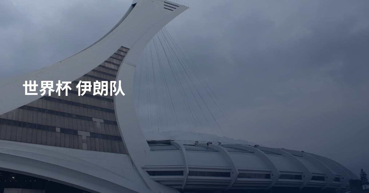 世界杯 伊朗队