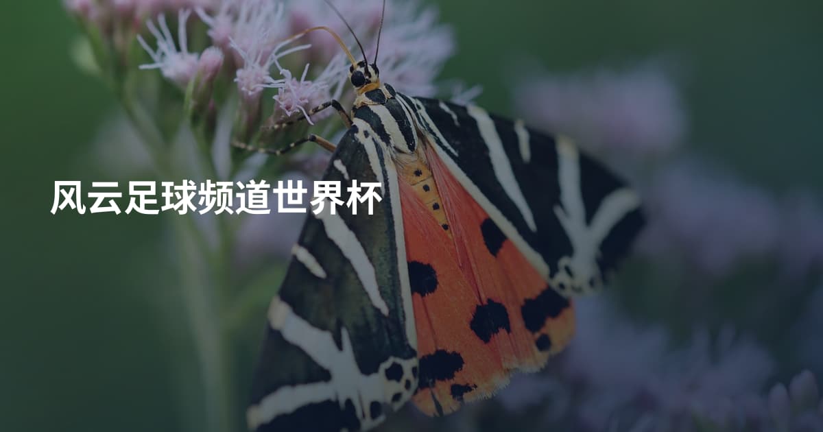 风云足球频道世界杯