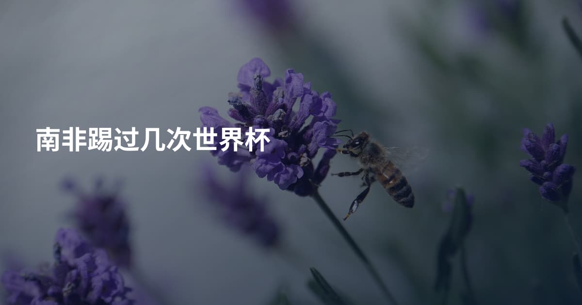 南非踢过几次世界杯