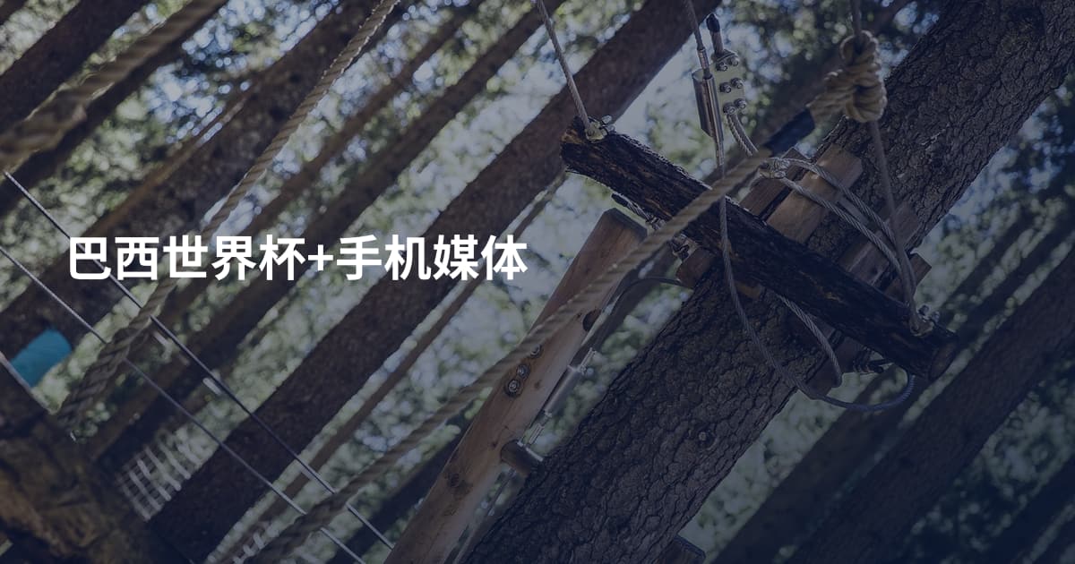 巴西世界杯+手机媒体